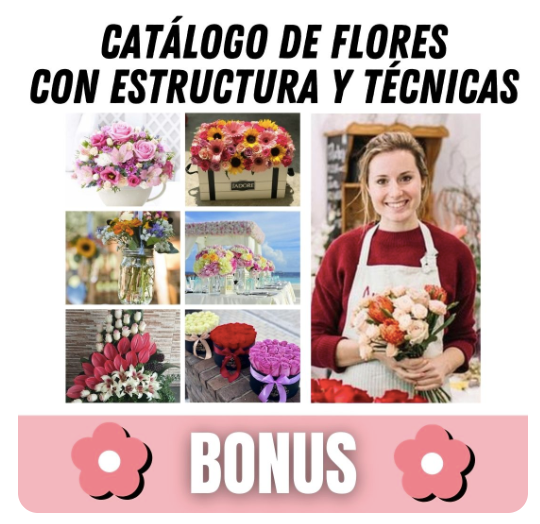 0050 El Negocio Rentable de las Flores