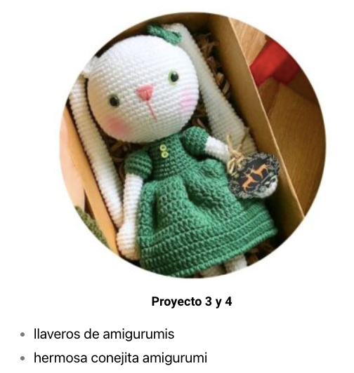 0030 Crochet y Amigurumis Master premium